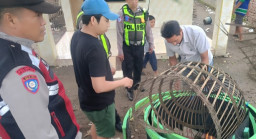 Gagal Beraksi, Arena Sabung Ayam di Sidoarjo Malah Dihanguskan Polisi