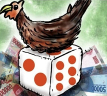 Warga Resah dan Merasa Tidak Nyaman Gegara Adanya Dugaan Aktivitas Judi Sabung Ayam Dan Dadu Jeki, APH Segera Bertindak 