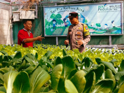 Bhabinkamtibmas Jemur Wonosari Dukung Kelompok Tani Hidroponik untuk Perkuat Ketahanan Pangan Warga Surabaya