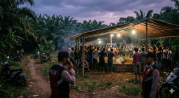 Diduga Arena Sabung Ayam di Dusun Bedengan Ambulu Beroperasi, Muncul Dugaan Adanya Backing Oknum Aparat