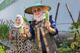 Panen Timun Melimpah, Lapas Kelas I Madiun Optimalkan Pembinaan Berbasis Pertanian