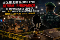 Dugaan Judi Sabung Ayam Kembali Beroperasi di Karang Duren Jember, Nama Oknum TNI 509 Kostrad Disebut, Penegakan Hukum D