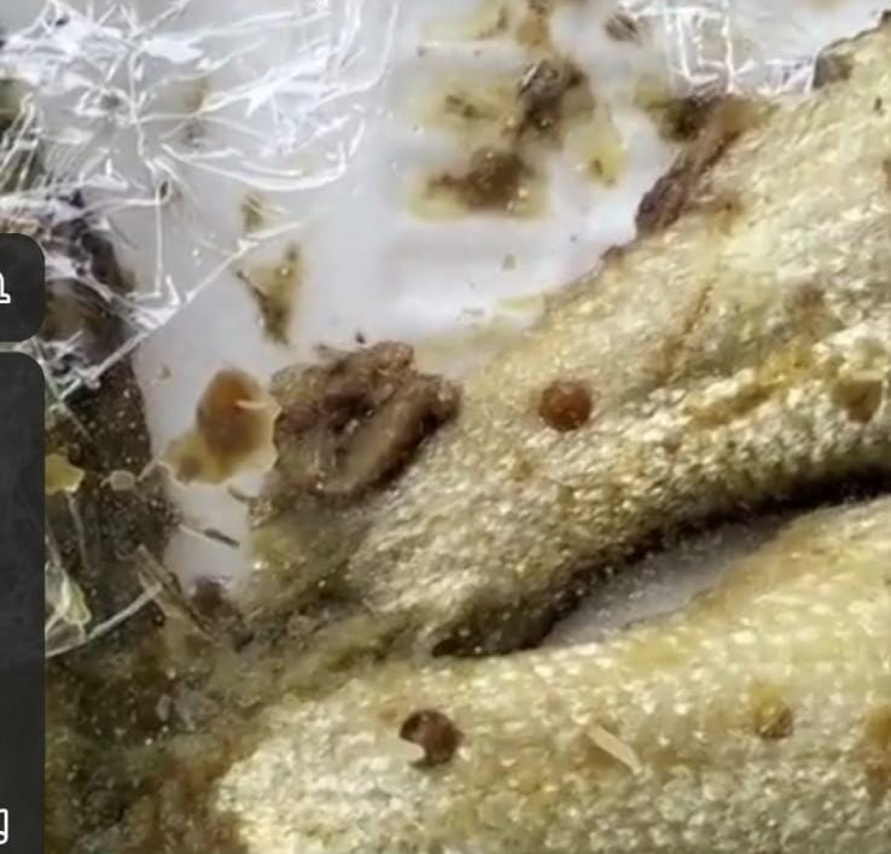Menu MBG di Sorot di SDN Rongtengah 2 Sampang, Ikan Bandeng Penuh Belatung