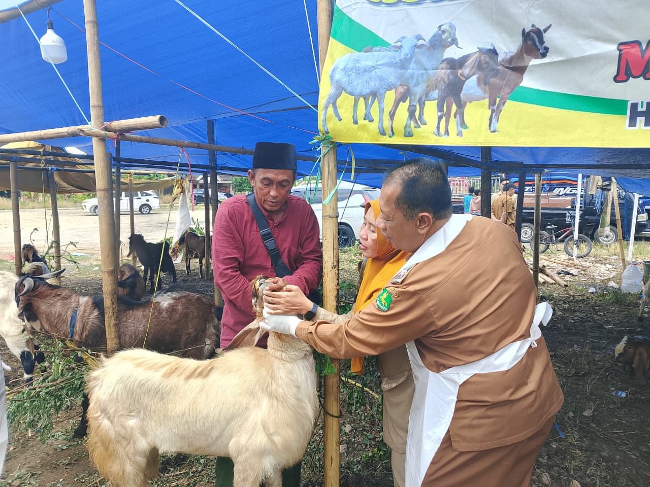 Potret Kepala DKPP Sumenep Saat Bersama Tim Veteriner Dan Paramedik 